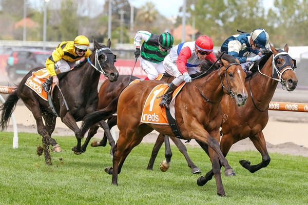 Victoria Derby - A pedigree perspective