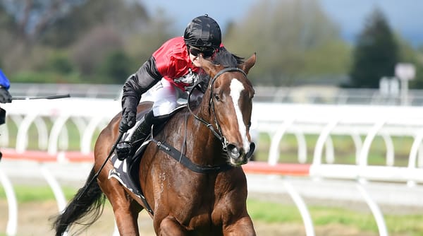 Forsman adds to Melbourne arsenal