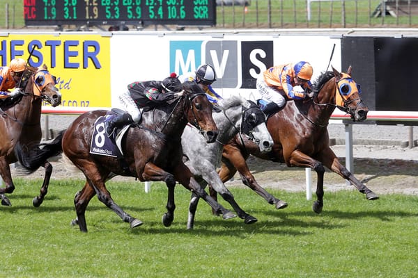 Paisley Park takes out Matamata Cup