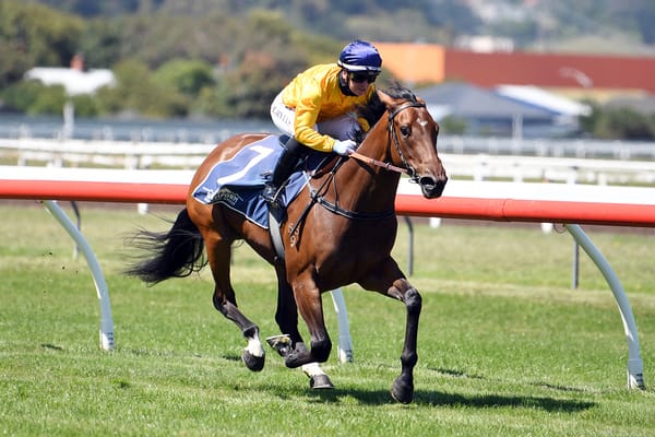 Filly Perfectly Suited for Ashburton feature