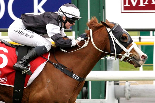 Mitchell making the most of riding opportunities