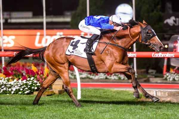 Brown's Caulfield Cup bid