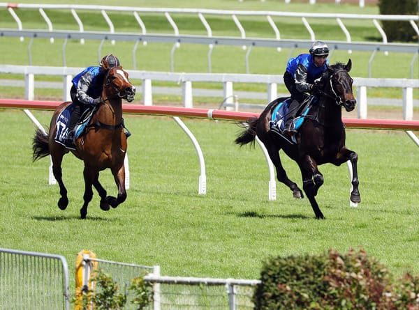 Pungo to represent Kiwi sporting stars at Flemington