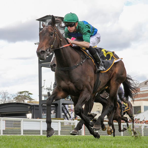 Renaissance Woman shows Oaks talent
