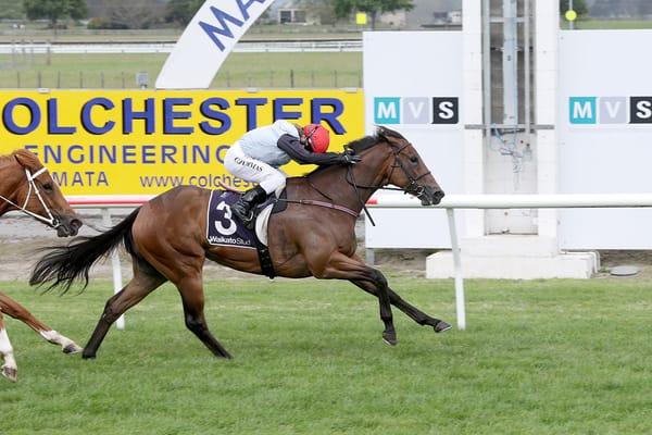 Sassy Merlot dominant in campaign opener