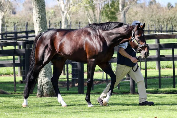 Boutique breeders making a grand impact