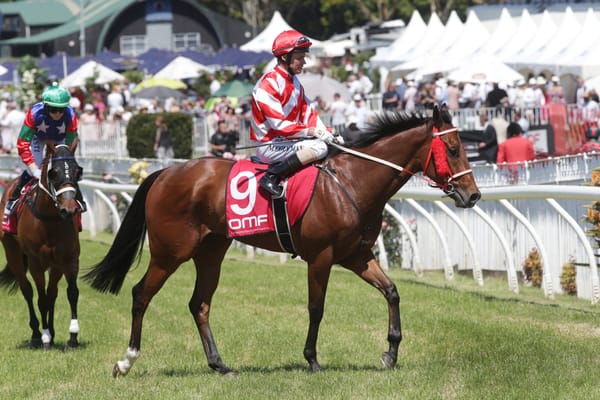 Victory to keep tough nut in Guineas mix