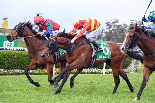 Sharp ‘N’ Smart chasing Spring Champion glory
