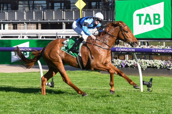 Anderton set for busy Cup Day