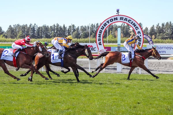 Specialty upsets in Ashburton feature