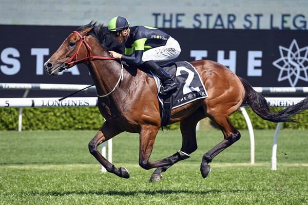 Stockman books Melbourne Cup passage