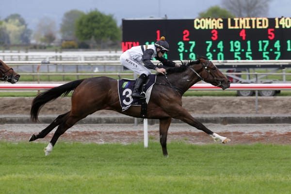 Forsman stable in intimidating form￼