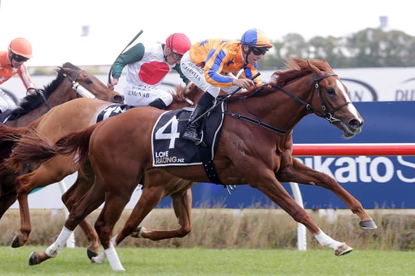 Celebrations aplenty as Wild Night salutes at Te Rapa