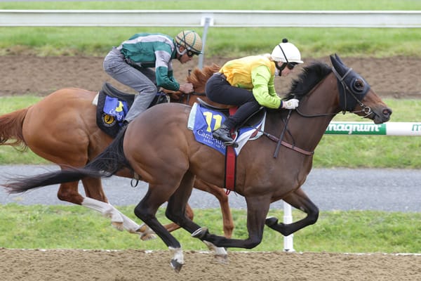 Alfriston looks for Bonecrusher reward after bold 2000 Guineas effort