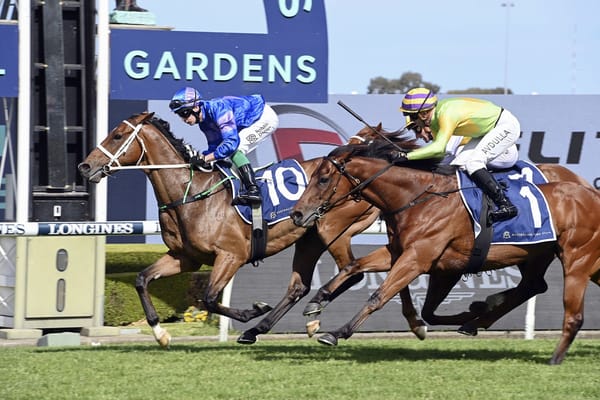 Dolan gets winning tune out of Bonny Ezra