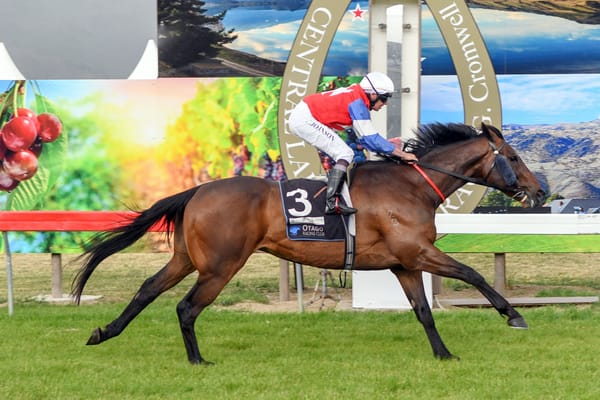 Camino Rocoso shoots for third Cromwell Cup win