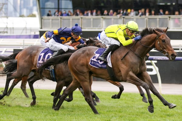 Detonator Jack explosive at Flemington