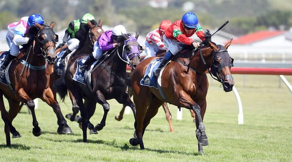 Promising stayer the Belle of the Ball at Wanganui