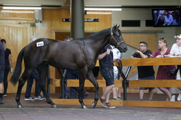 International Strength Returns on Day One