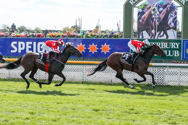 Pitman team primed for NZ Cup Carnival