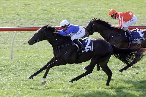 Sacred Satono to take on older sprinters in Counties Bowl