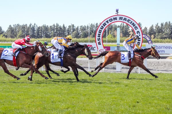 Bugger the mortgage says Guineas contender