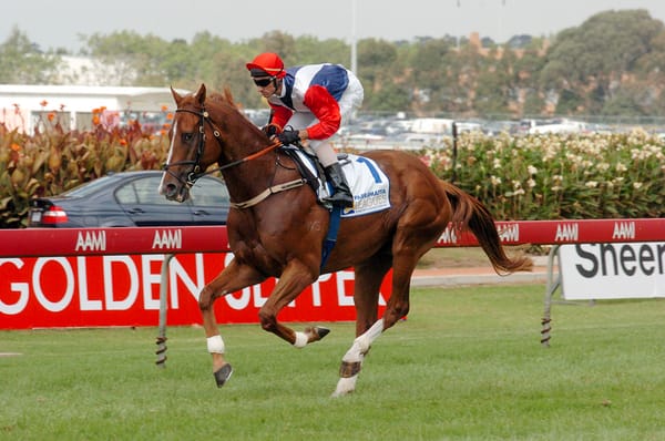 Vale trailblazer Starcraft