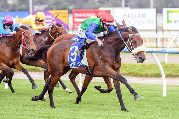 Homecoming for Vidiano