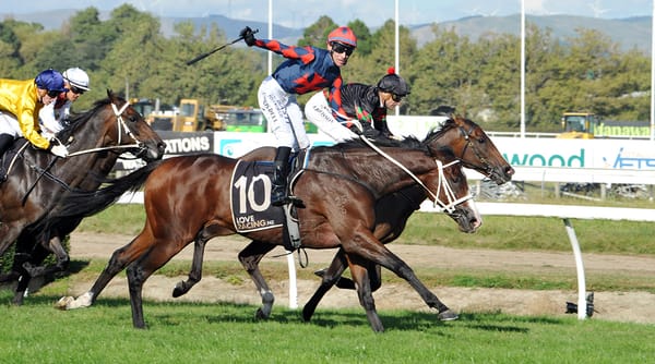 Pace key to quality mare’s Awapuni prospects