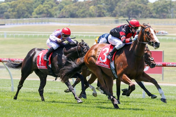 Raw Dunkel a topliner in the making