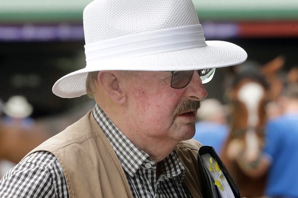 2023 Stuart Hale AUCKLAND/WAIKATO YEARLING Tour