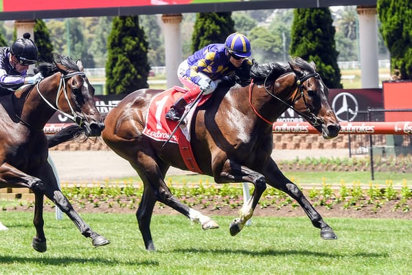 Jakk on the board at The Valley