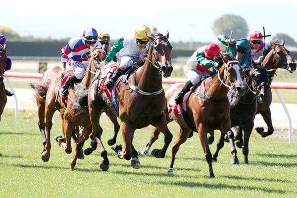 Group One tilt on cards for Humbucker