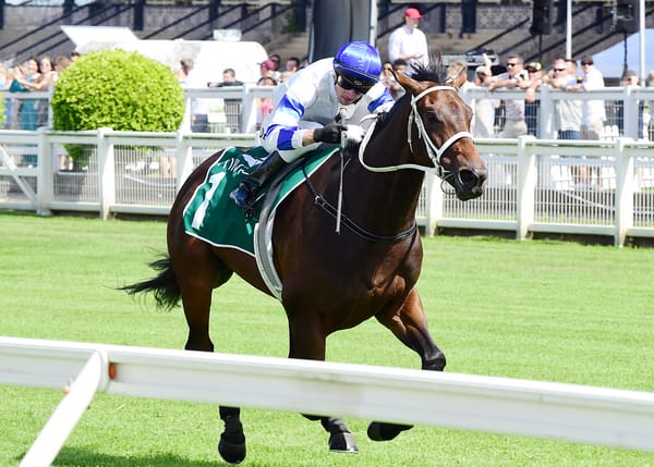 Kovalica demolishes Grand Prix rivals