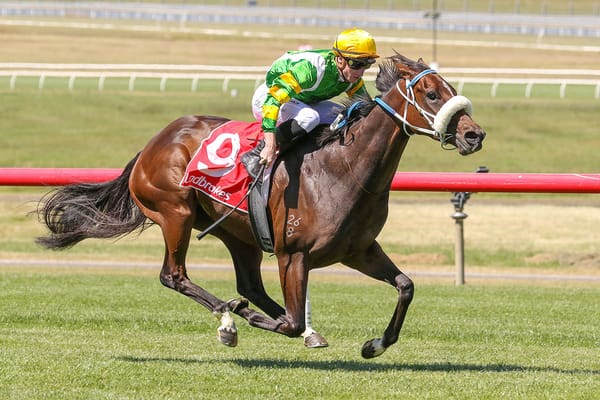 Life Lessons carries on winning way