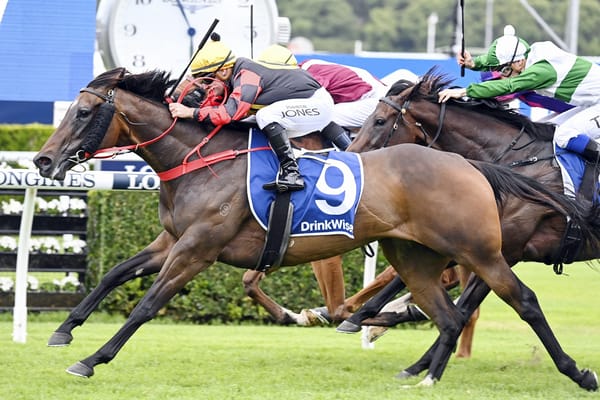 Well-travelled Tavistock mare salutes at Randwick