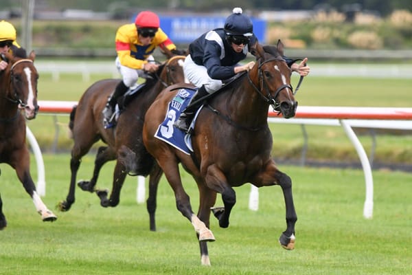 Talented two-year-old puts Staphanos on the board