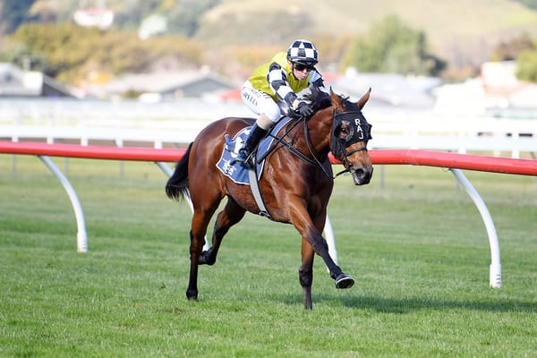 Group One performer on a Classic path