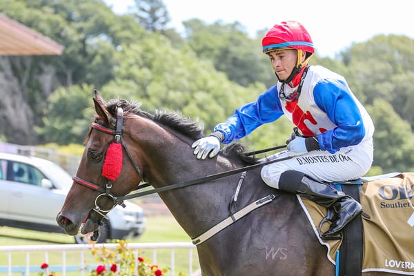 Rock Sensation set to hose in