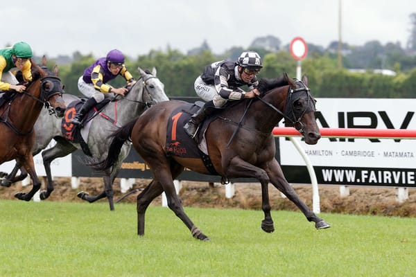 Sinarahma superior in Te Rapa feature