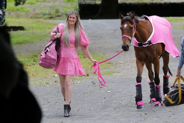 From gymkhanas to group races