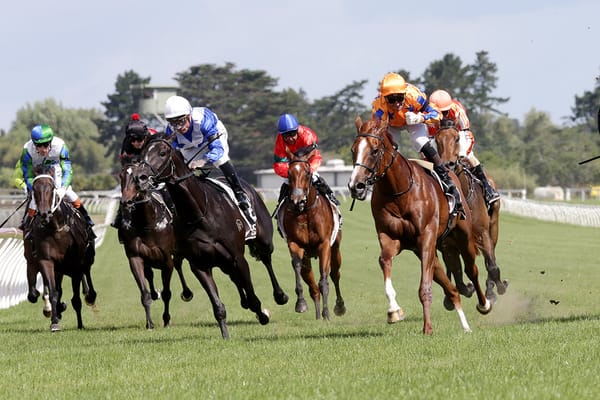 Wild Night declares game on for Karaka 3YO Classic