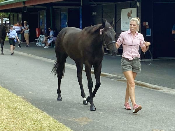 Peterken savours first Book 1 opportunity