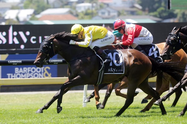 Bonny Lass set to take flight in Concorde