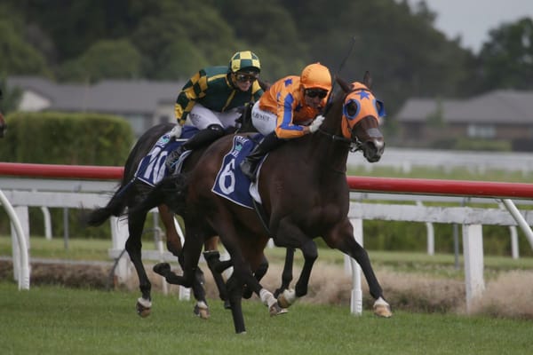 <strong>Rich Hill Mile quinella caps Te Akau gold rush</strong>