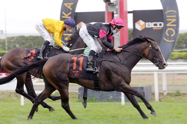 Group One farewell program for quality mare