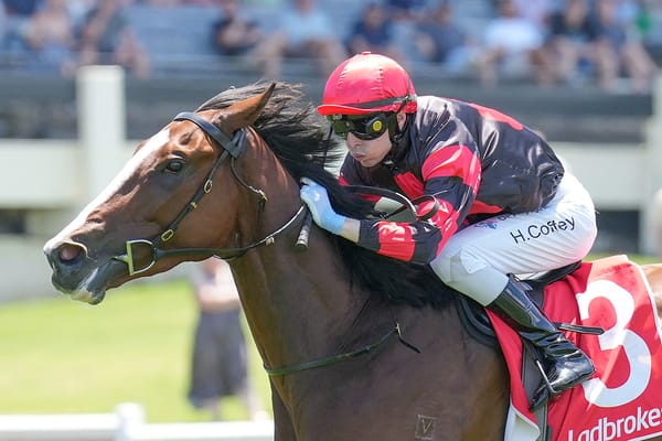 Guineas victory for Dunkel