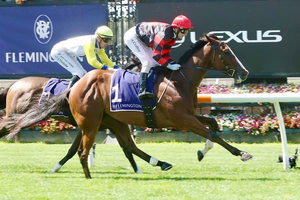 Dunkel gets off the canvas for Flemington win