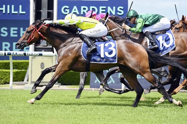 Hokkaido impresses at Rosehill