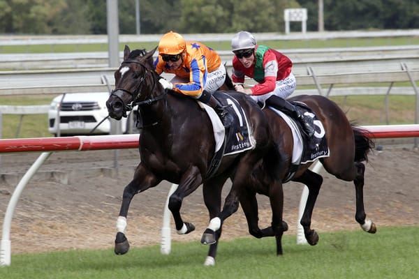 Class rules supreme in the Westbury Classic